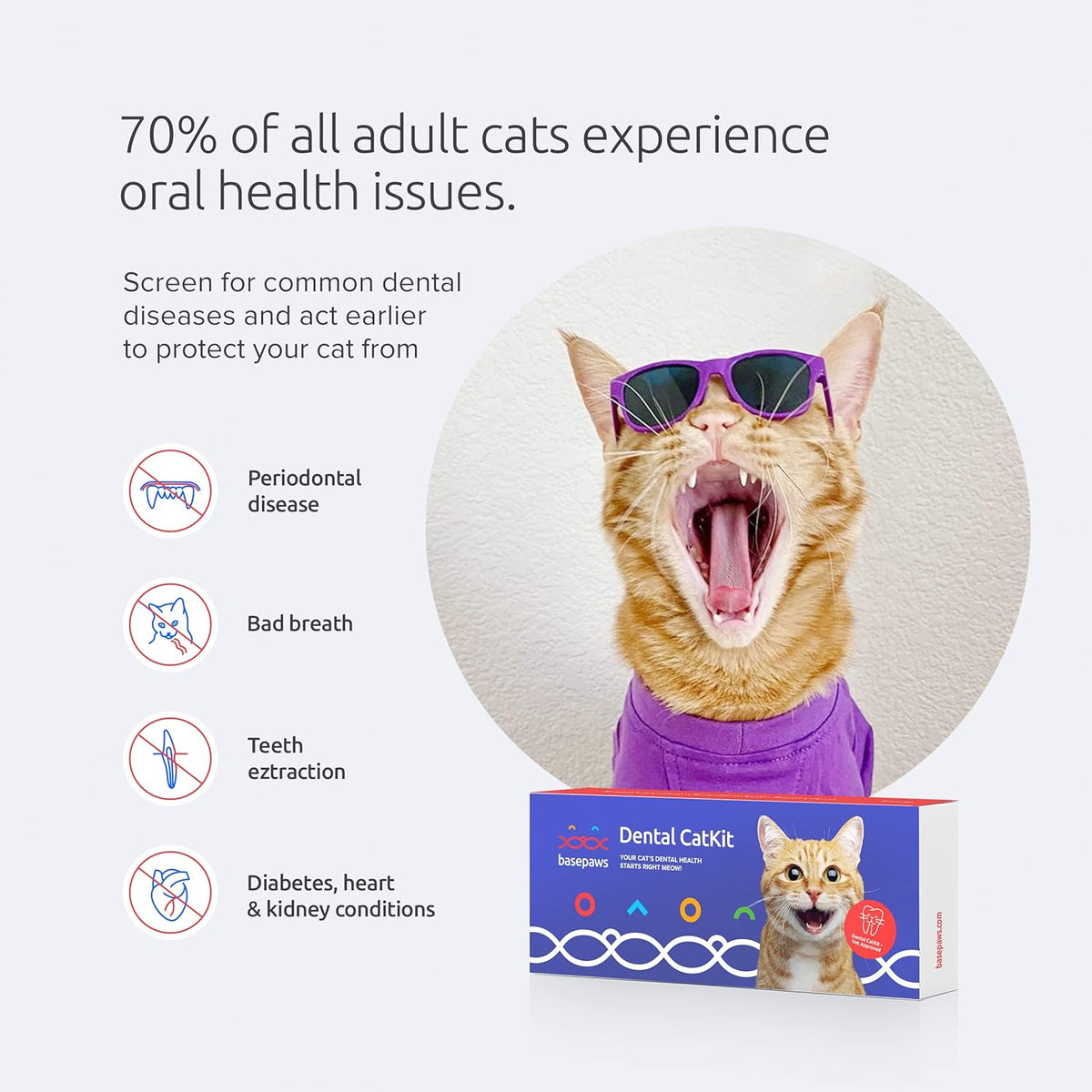Cat Dental Health Test J31951