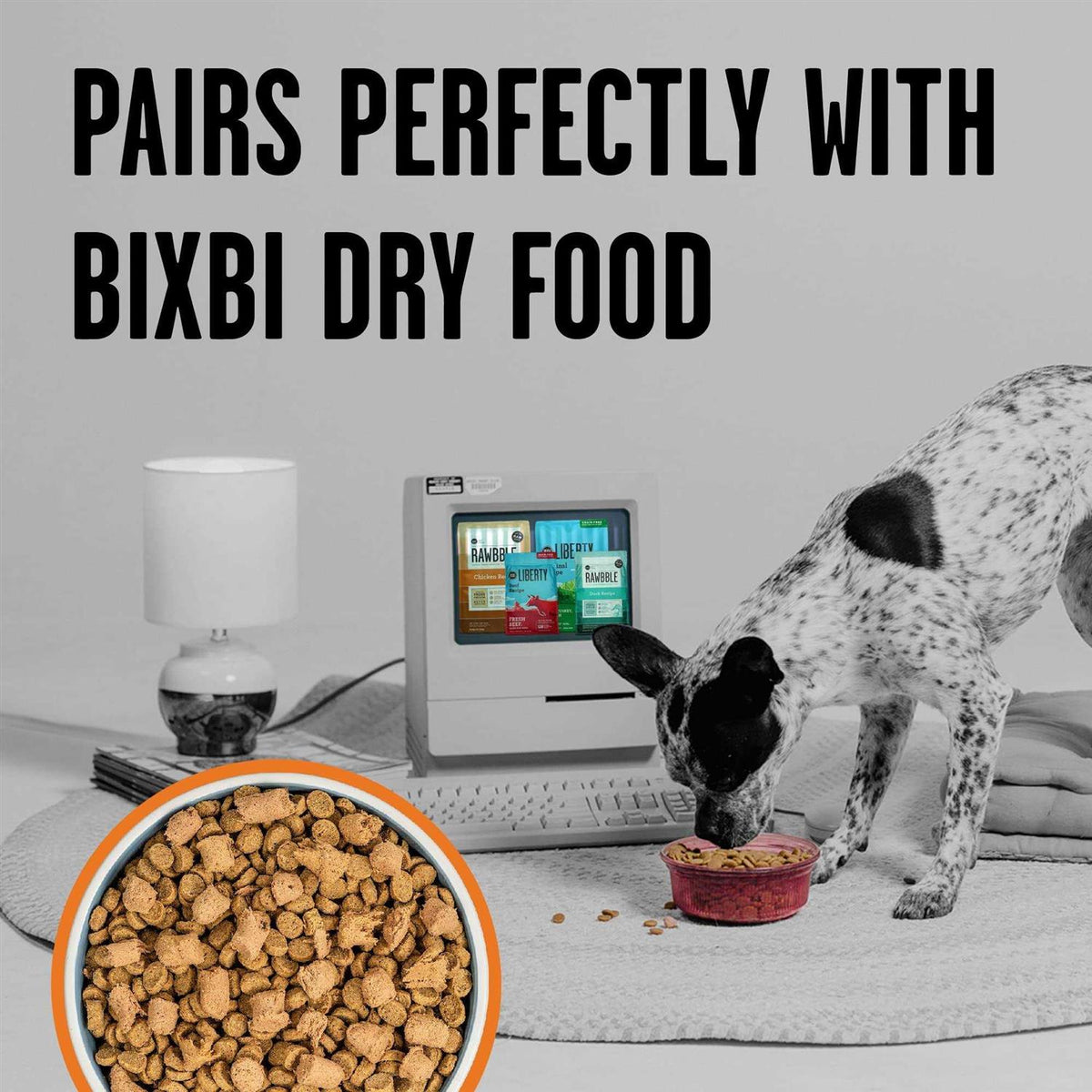Chicken Freeze-Dried Dog Food Z397