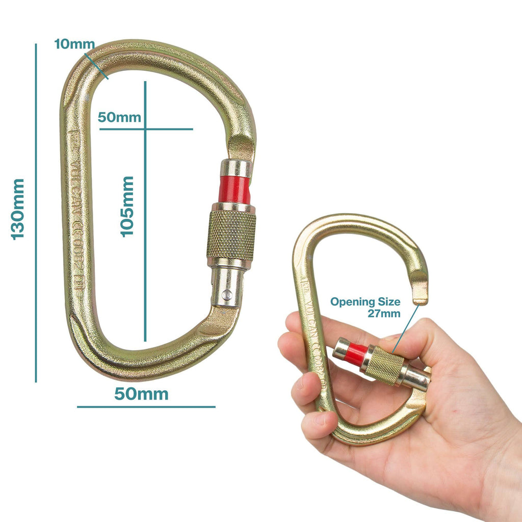 Screw Lock Carabiner F2055