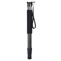 Carbon Fiber Monopod with Arca-Type Clamp Z20428