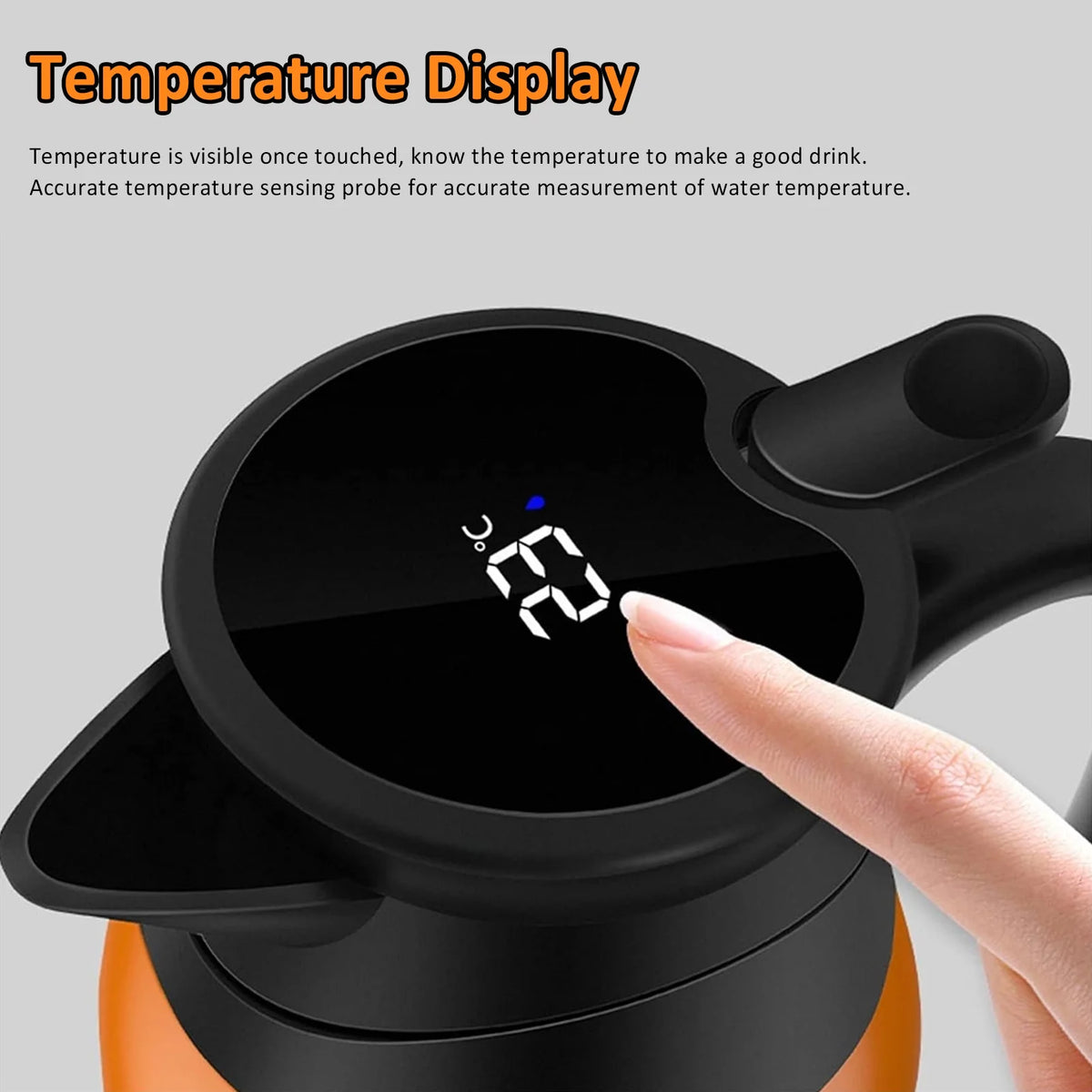 Stainless Steel Portable Electric Kettle F916175