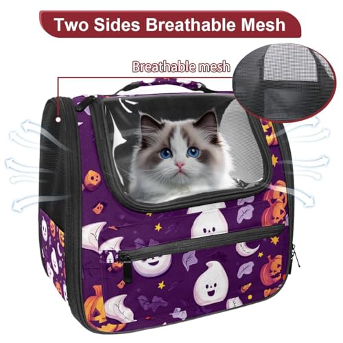 Airline Approved Pet Carrier Bag L242