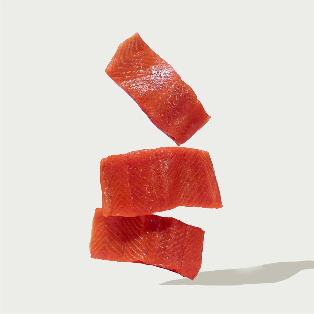 Salmon Brown Rice & Sweet Potato Dry Dog Food A4625