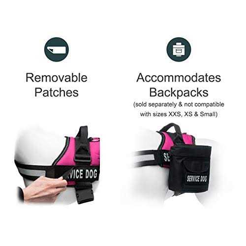 Service Dog Vest and Leash Set F6363