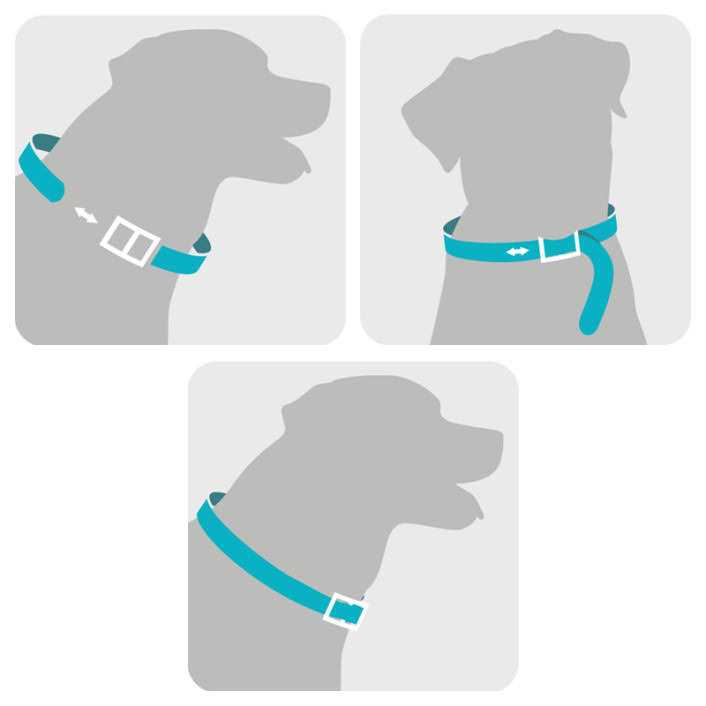 Flea & Tick Collar for Dogs T3730