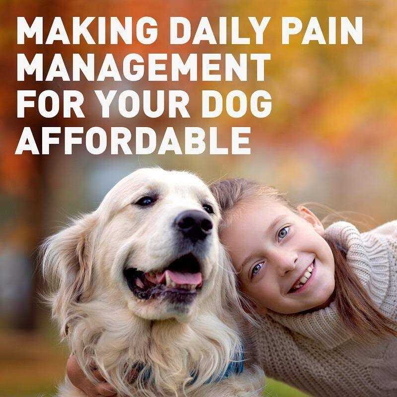 Chewable Tablets D5316