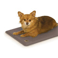Pet Products N216104