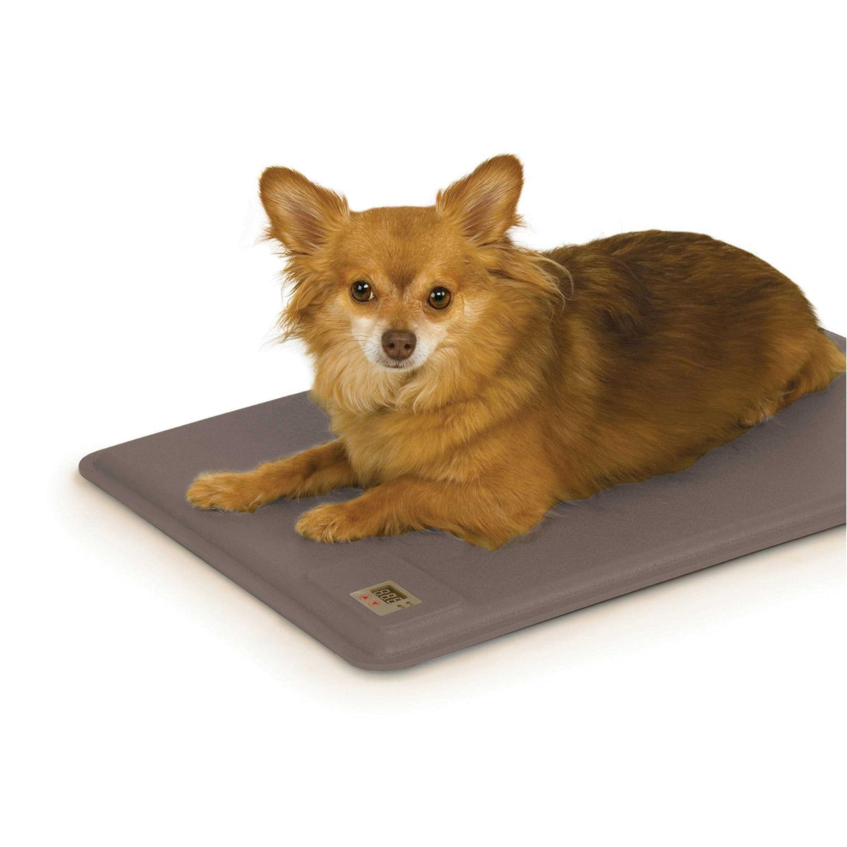 Pet Products N216104