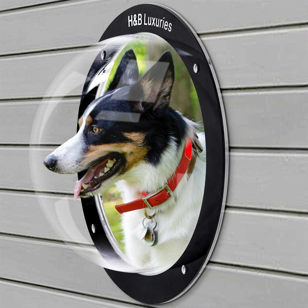 Acrylic Dome Dog Window for Fence I665