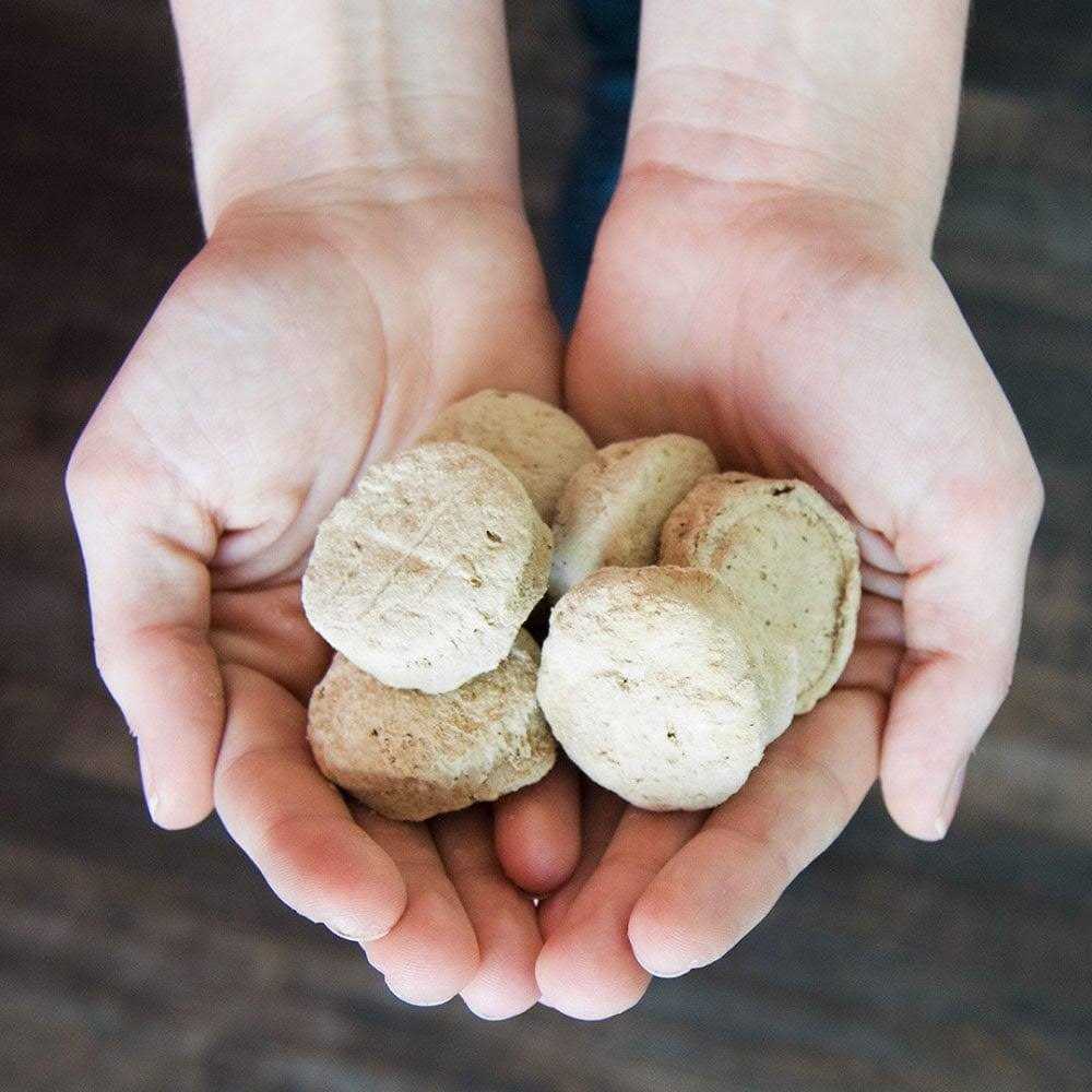 Freeze-Dried Raw Dog Food Salmon Patties F883371