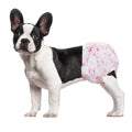 Disposable Female Dog Diapers Super Absorbent I250286