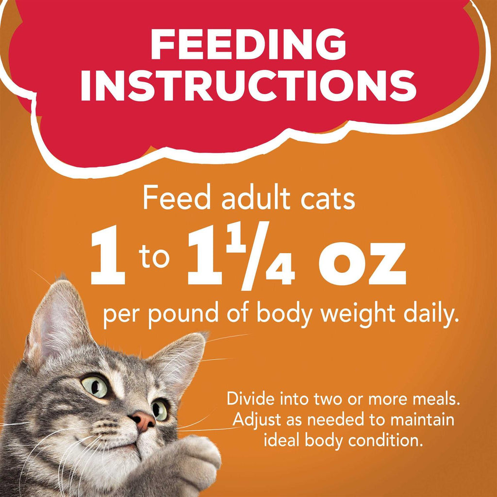 Wet Cat Food with Chicken in Gravy Z939700