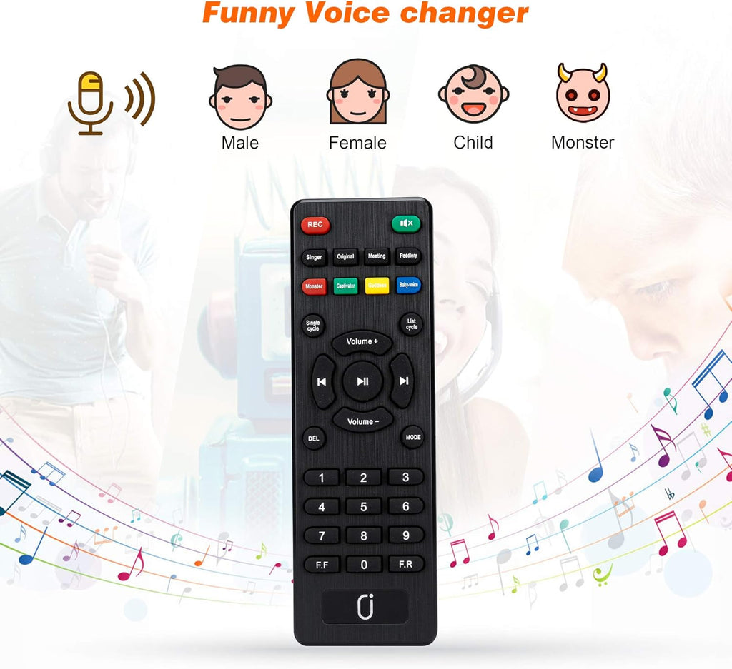 Rechargeable Portable Bluetooth Karaoke Machine with Microphone R2223