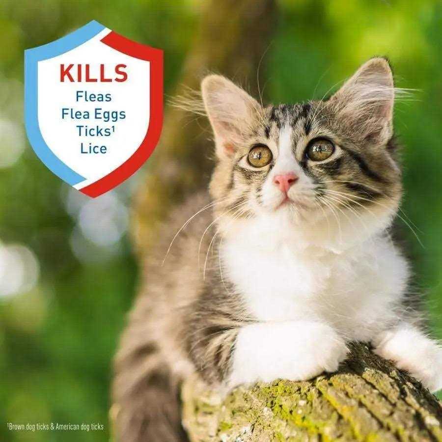 Flea Tick Shampoo U82153