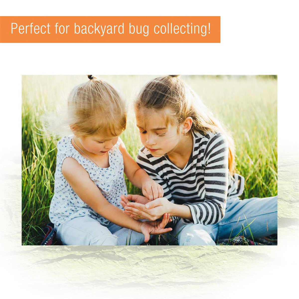 Micro Habitat R2796