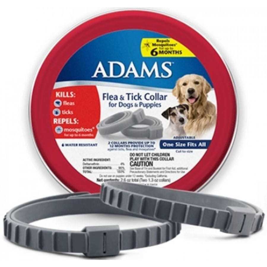 Flea Tick Collar for Dogs Puppies L538551