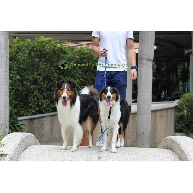 Dual Dog Leash S250164