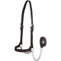 Leather Cattle Show Halter & Chain Lead, Havana, Small Z4377