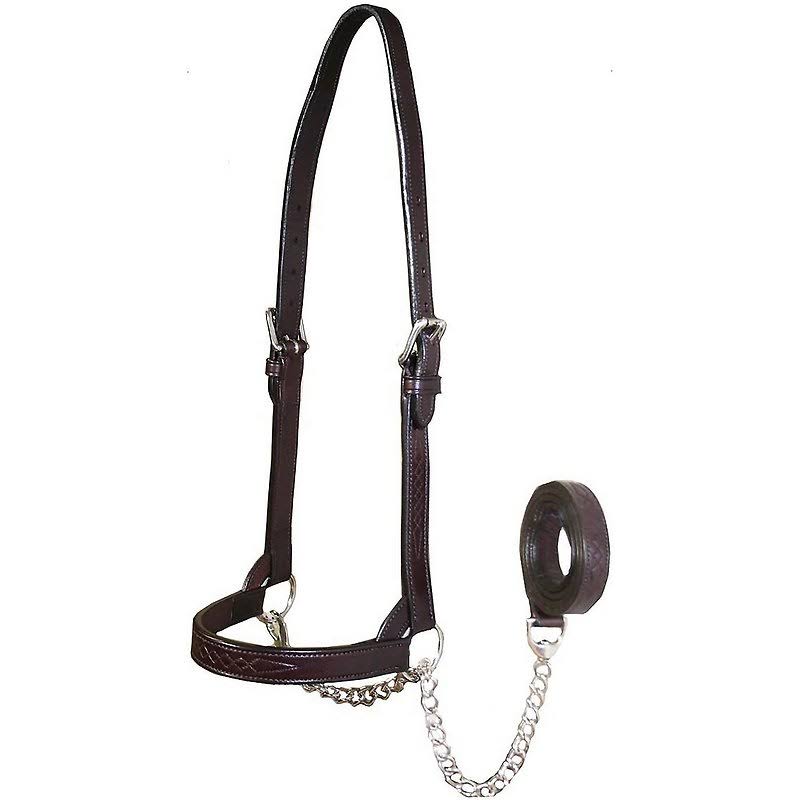 Leather Cattle Show Halter & Chain Lead, Havana, Small Z4377