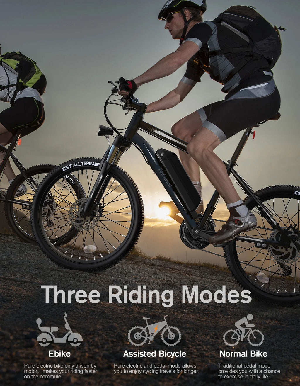 Electric Bike 26'' 350W 36V 10.4Ah 21 Speed E910990