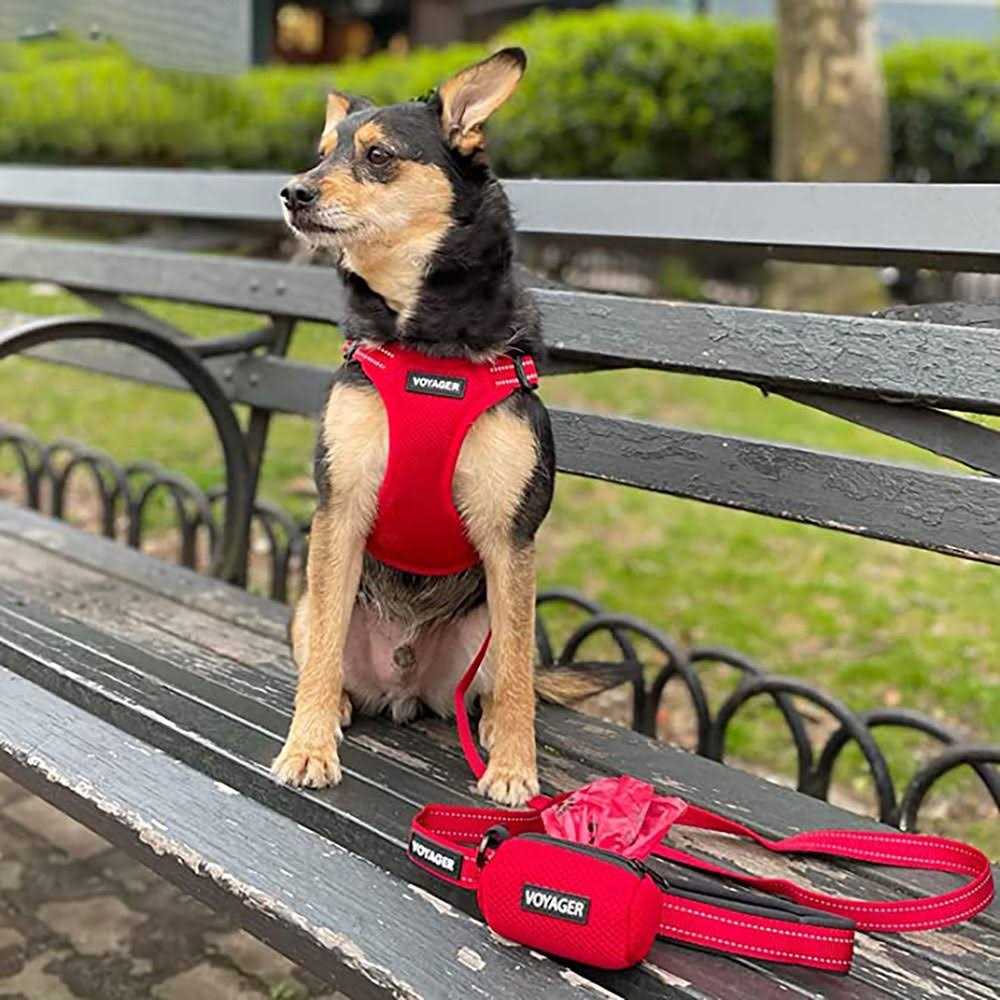 Reflective Dog Leash with Neoprene Handle, 5ft T128