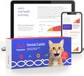 Cat Dental Health Test J31951