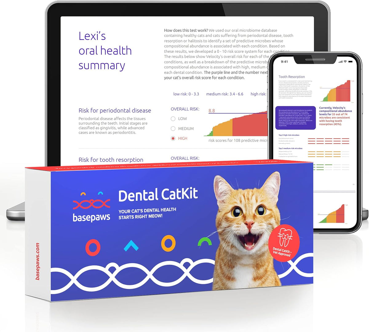 Cat Dental Health Test J31951