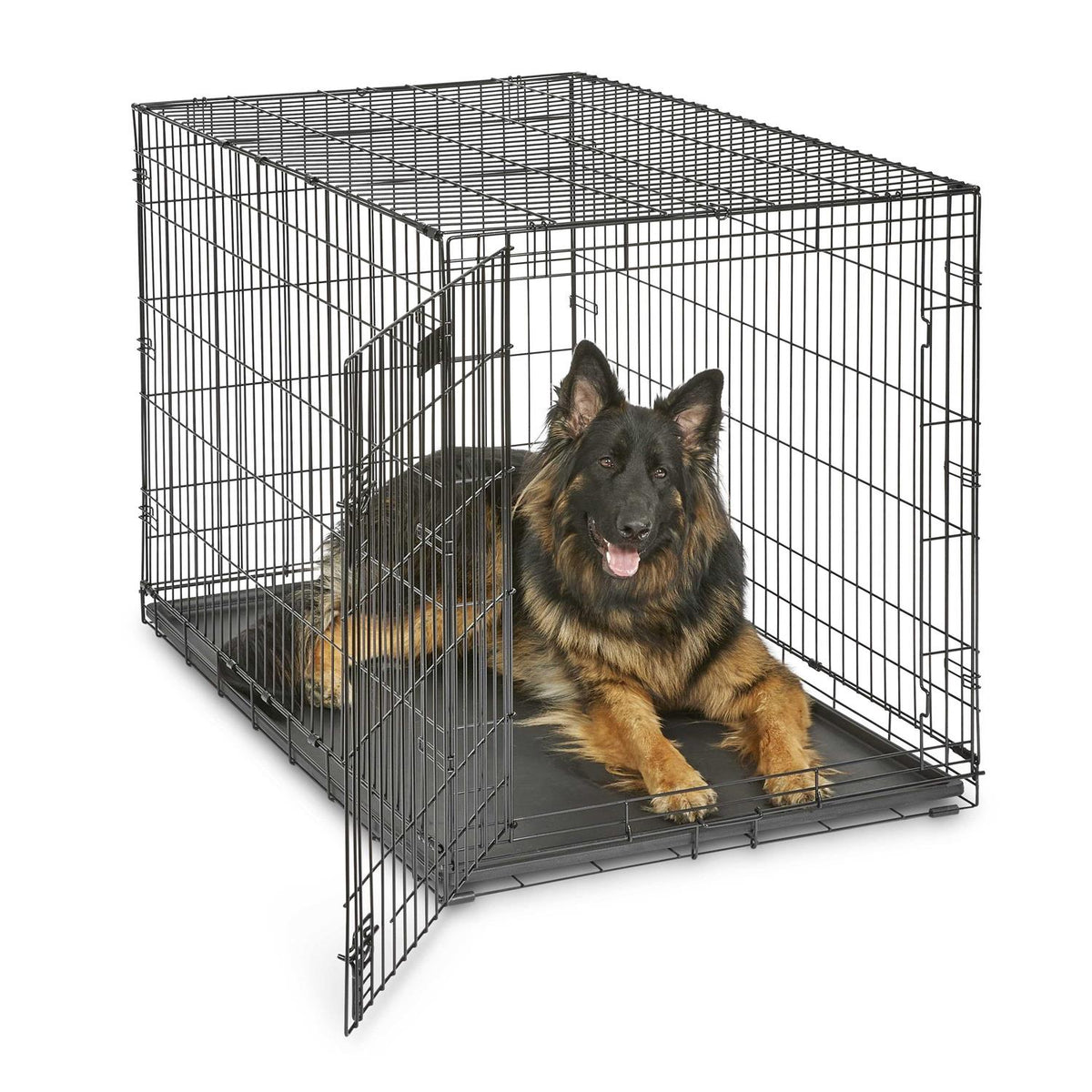 Double Door Dog Crate F90818