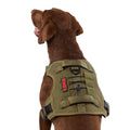 Double Handle Dog Harness Z19317