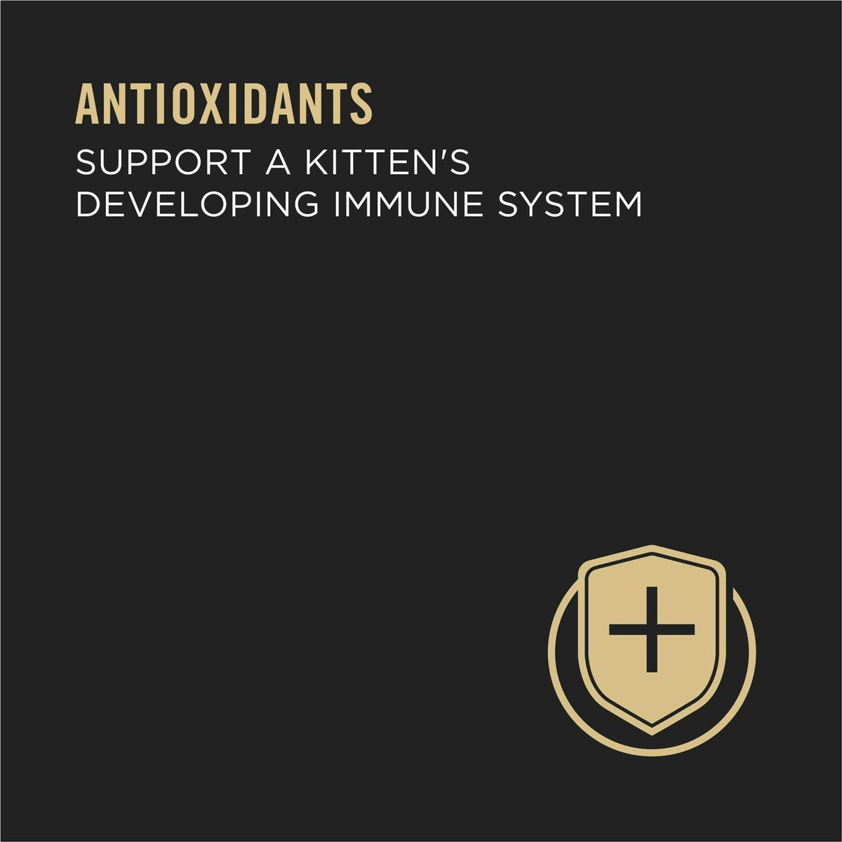 Wet Kitten Food Variety Pack T874