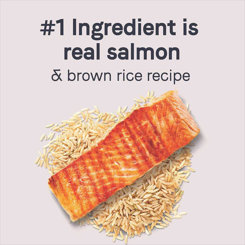 Salmon & Brown Rice Dry Dog Food I696846