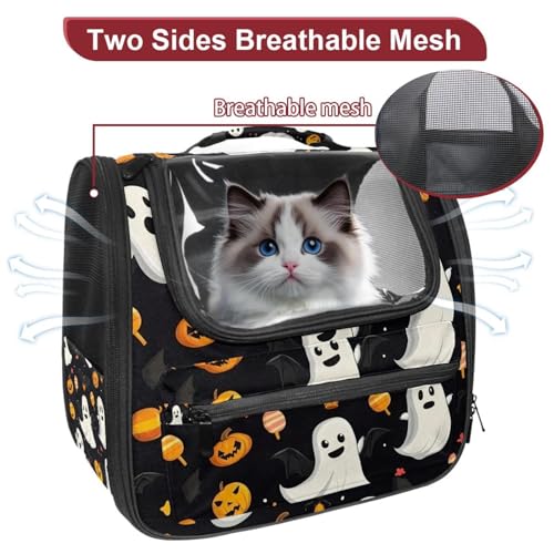 Airline Approved Pet Carrier Bag L242