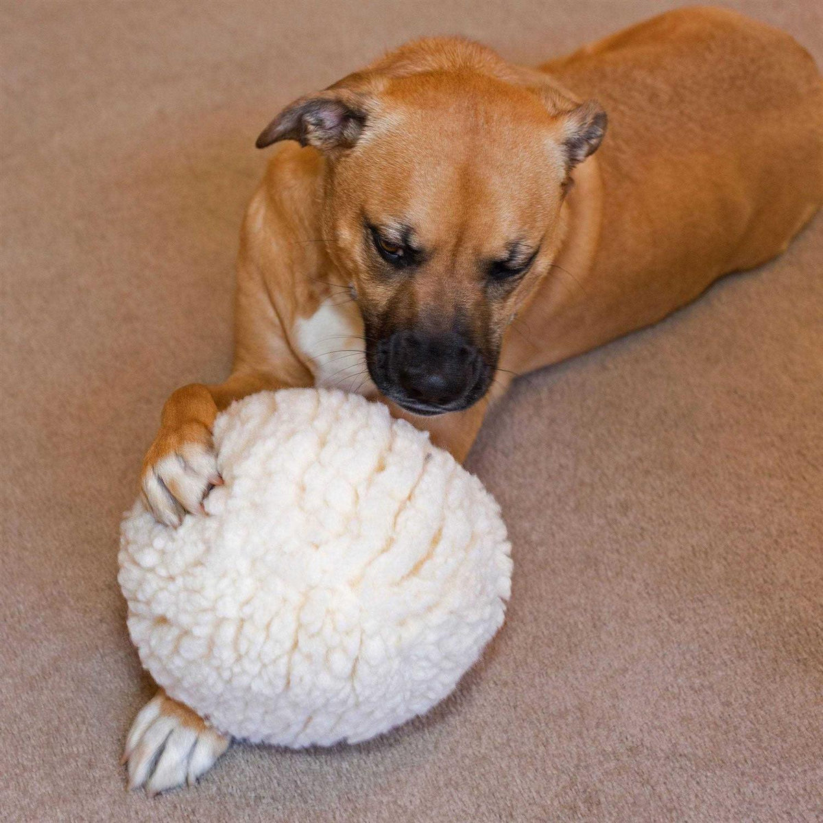 Fleece Ball Dog Toy U271078