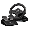 Racing Wheel with Pedals & Shifter I473926