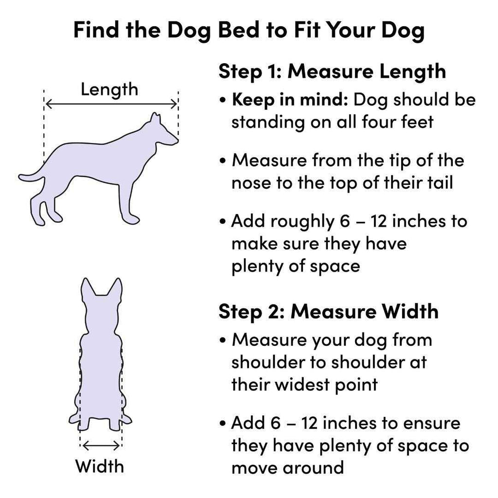 Pet Products N216104