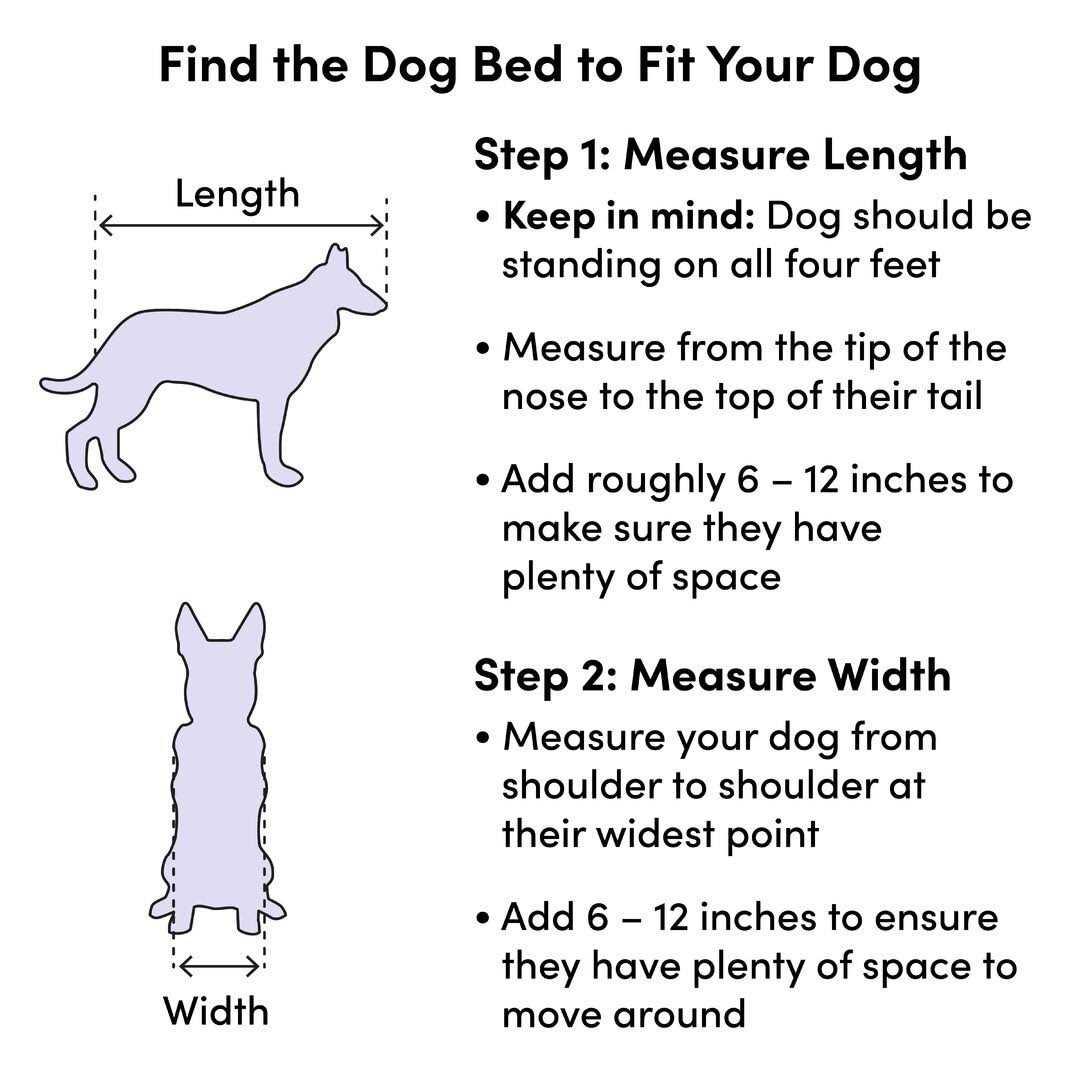 Pet Products N216104