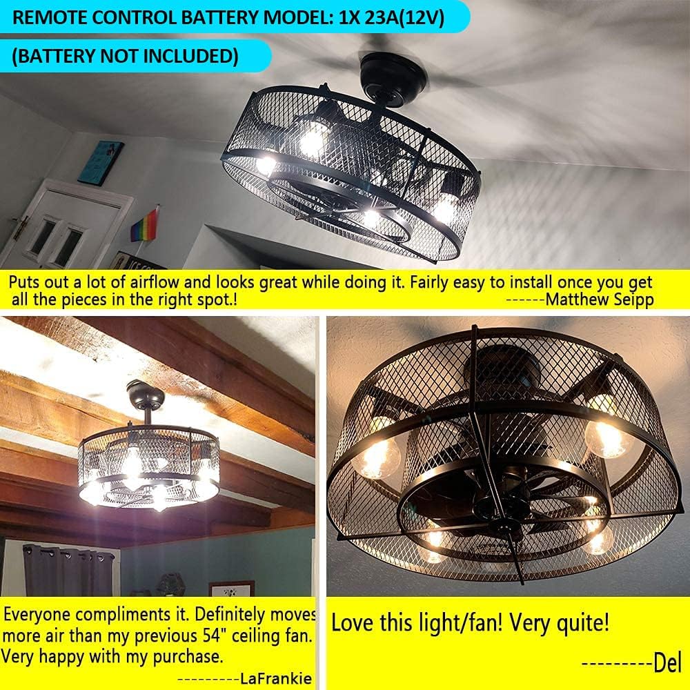 20In Caged Ceiling Fan with Light, 3 Speeds, Remote, Black V2609