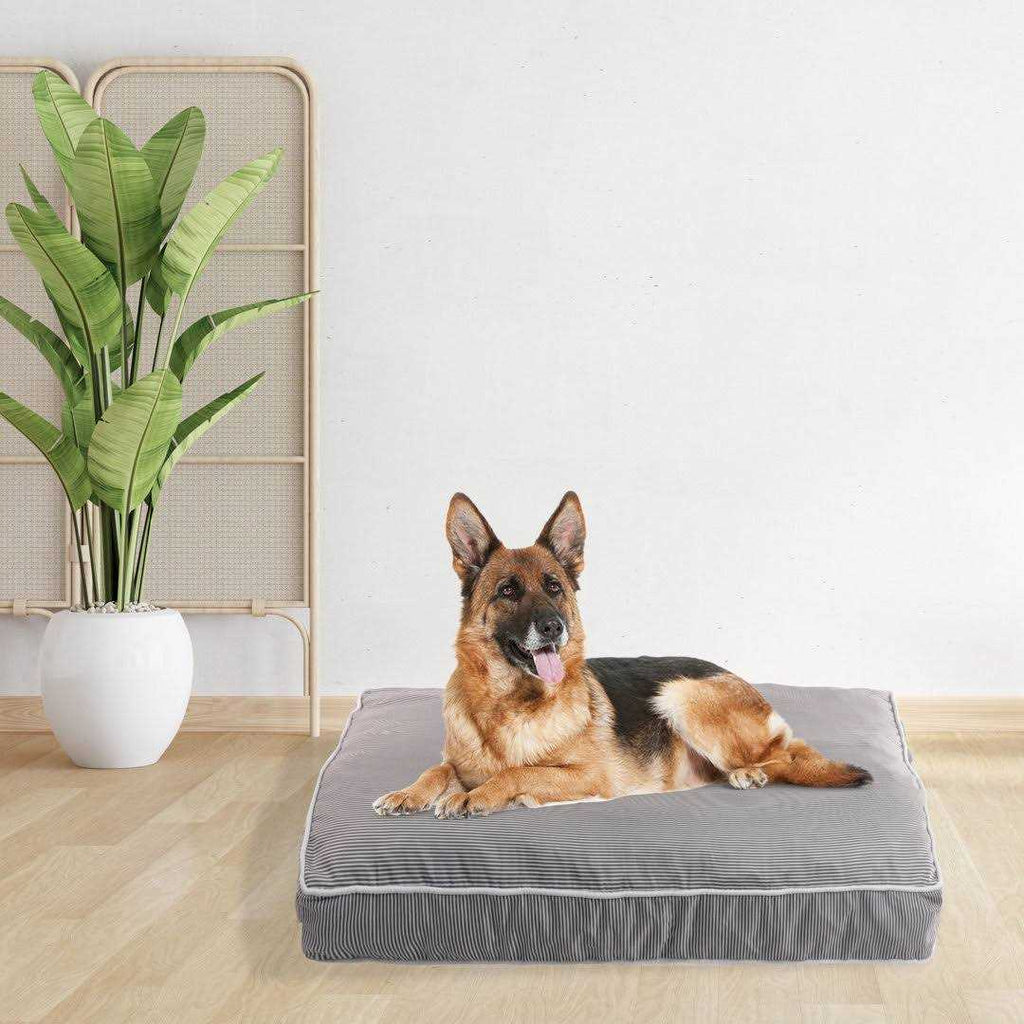 Orthopedic Pet Bed M78173
