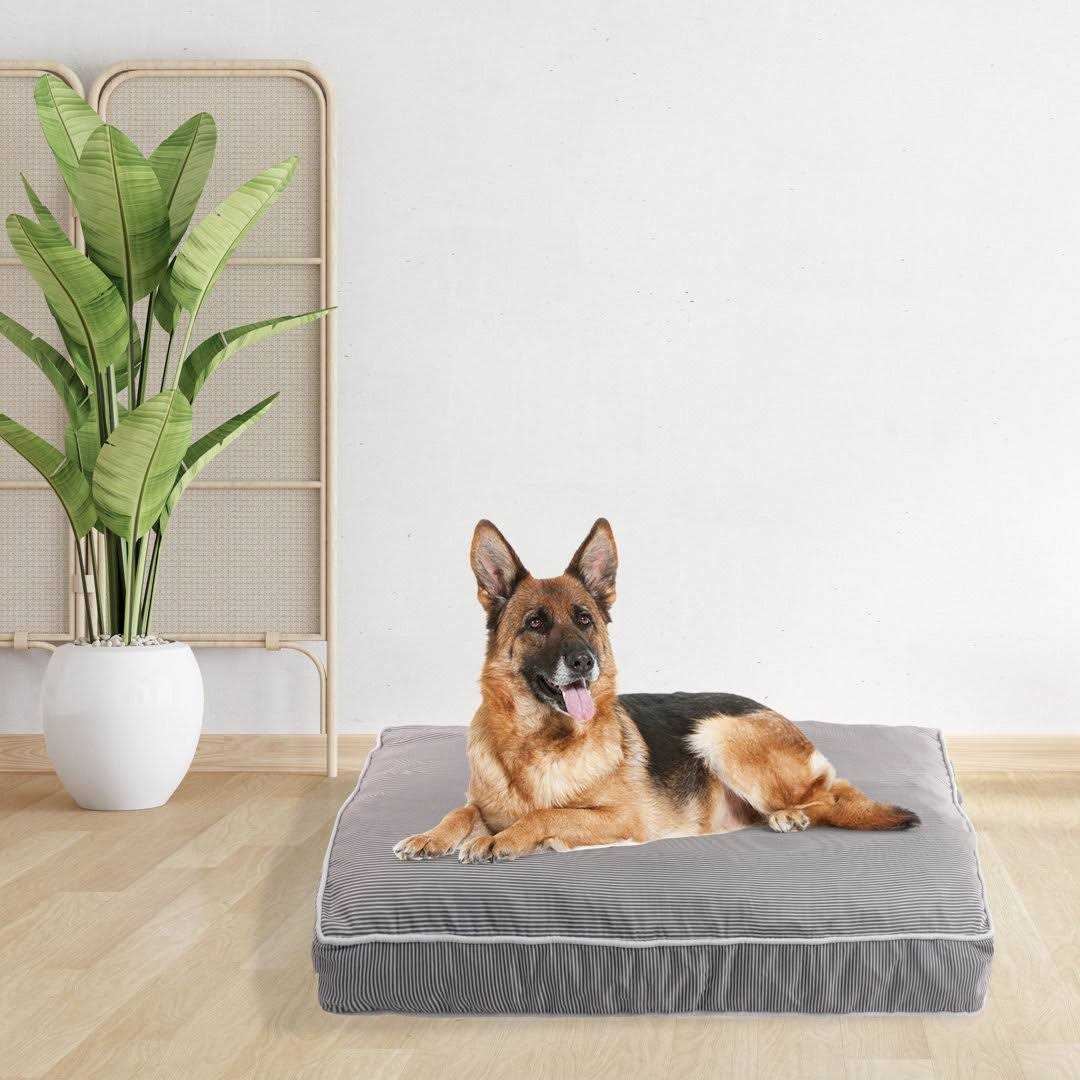 Orthopedic Pet Bed M78173