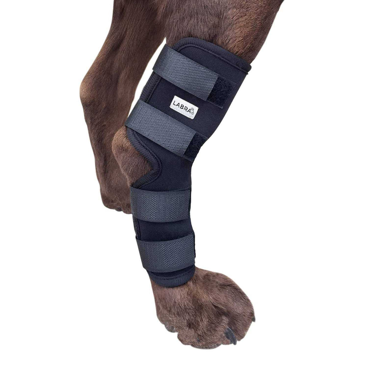 Dog Rear Leg Hock Joint Compression Wrap K1837