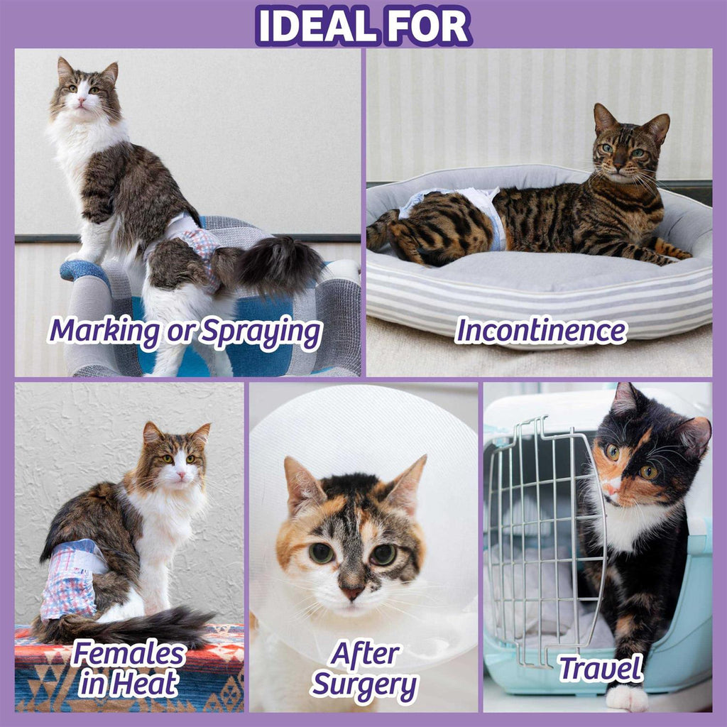Disposable Cat Diapers M89602