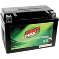Maintenance-Free Battery C5450