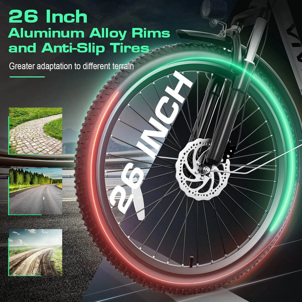 26'' 500W Electric Bike with 48V Removable Battery M53010