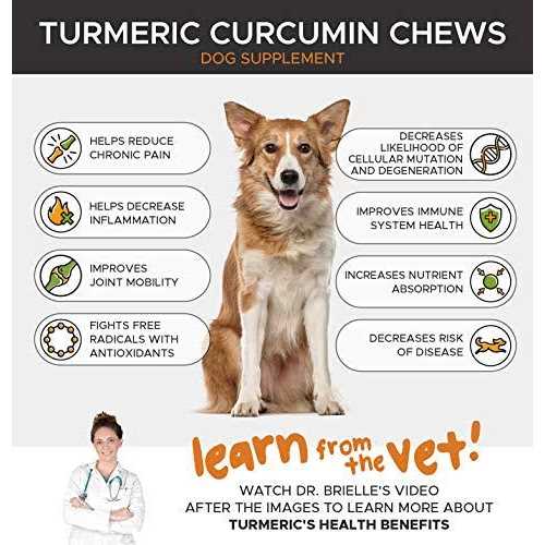 Dog Hip + Joint Health Turmeric Chews P826483