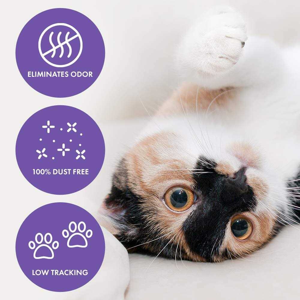 Clumping Crystal Cat Litter Q166347