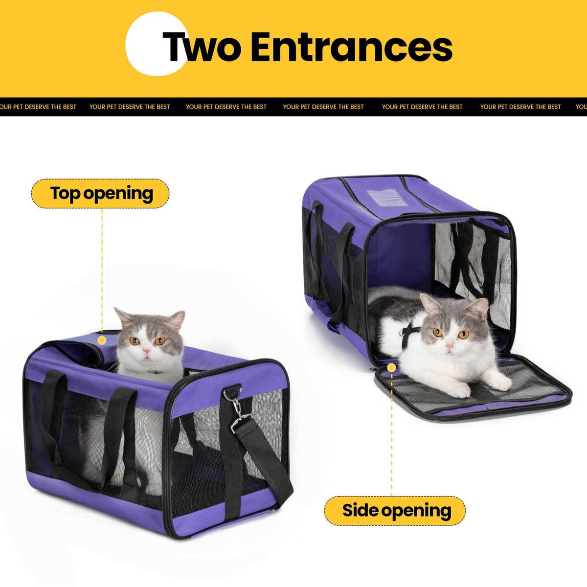 Soft-Sided Cat Carrier with Inner Safety Leash R357638