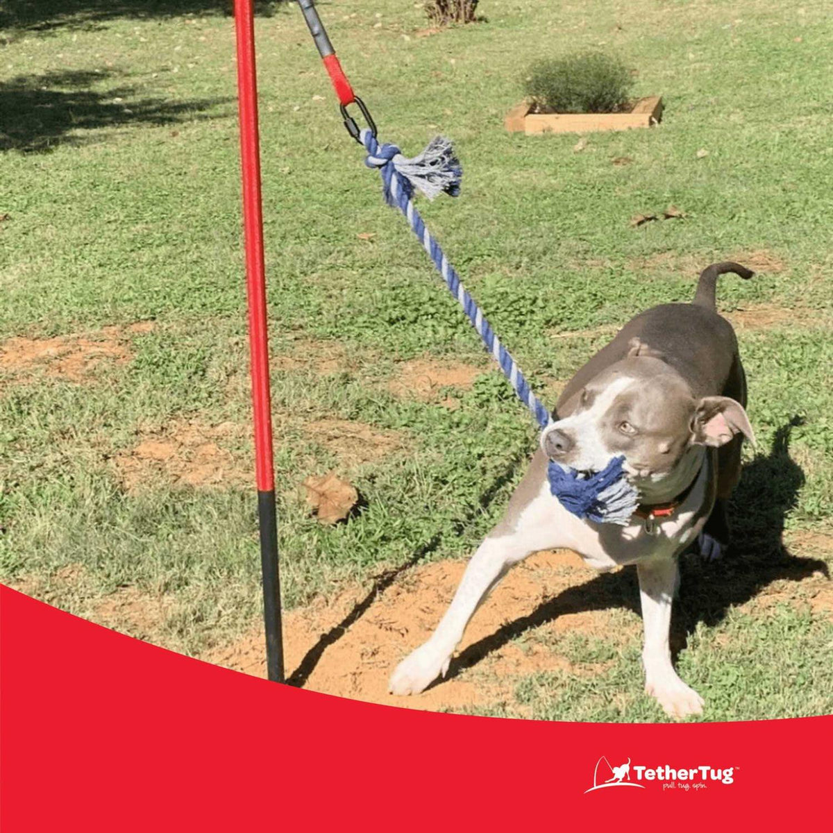 Dog Toy L645