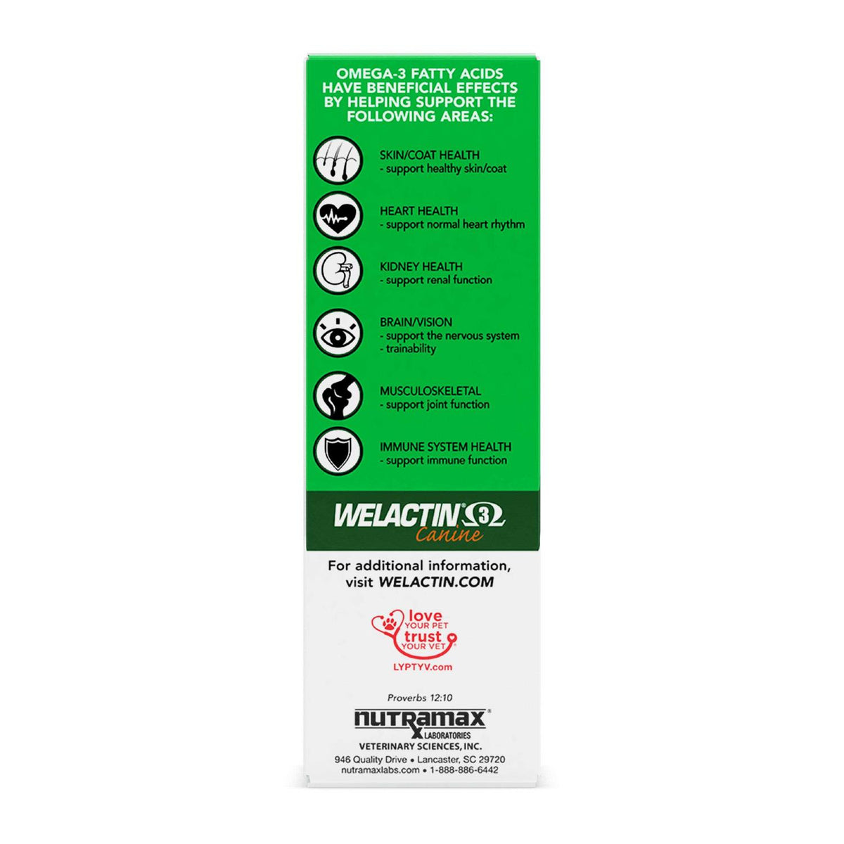 Omega-3 Liquid Skin & Coat Supplement for Dogs D4856