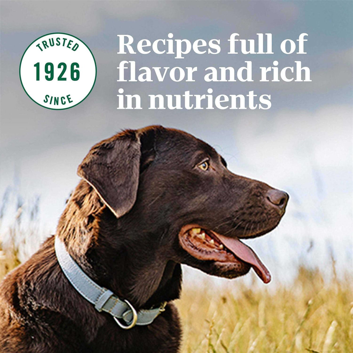 Large Breed Adult Dry Dog Food Chicken J995707