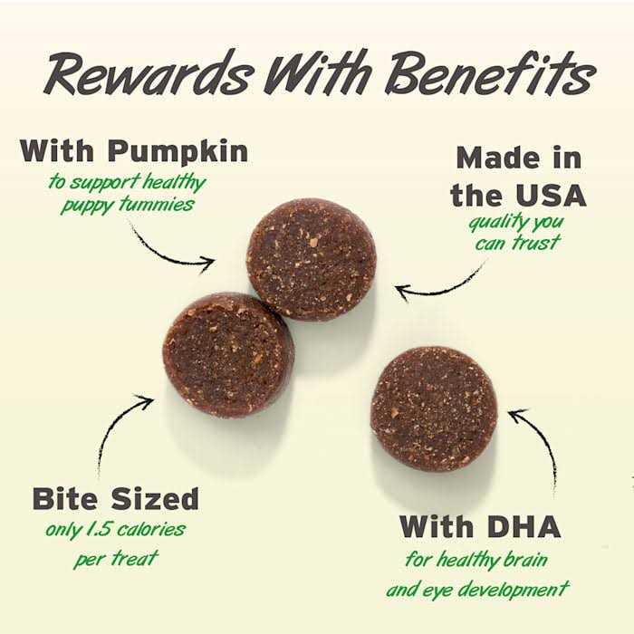 Peanut Butter Soft & Chewy Dog Training Treats G4423